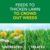 Scotts Turf Builder Weed & Feed3, Weed Killer Plus Lawn