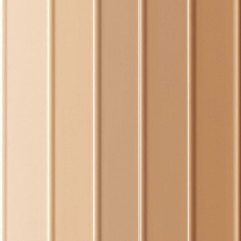 Jeongsaemmul (Hyundai Hmall) Jung Saem Mool Skin Nude Cushion Concealer