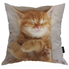 Beabes Cat Couch Pillow Cover, Sleeping Kitten Pet Cat Decorative Throw Pillow Case Cotton Linen Cushion Cover 18"X18" Pillowcase for Home Office Dorm