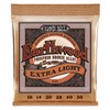 Ernie Ball Ernie Ball Earthwood Extra Light Phosphor Bronze Acoustic
