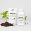 Dr. Selz Muco Flora capsules intestinal building preparation with 14