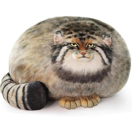 Steppe Cat Plush, Pallas Cat Plush Pillow, Cute Plushies for Girls, Soft Plush Pillow, Throw Pillow Doll Decoration Doll Gift for Boys Party Christmas - Color: Steppe Cat - 35cm/14inch