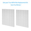2 Pack True HEPA D4 Replacement Filters Compatible with Winix