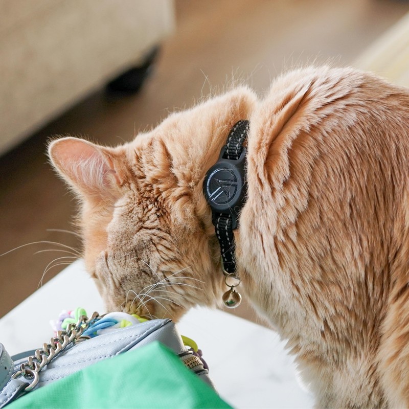 Tile Sticker Holder Cat Tracking Collar (2024) - Breakaway, Reflective