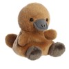 Aurora® Adorable Palm Pals™ Patty Platypus™ Stuffed Animal - Pocket-Sized