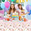 Pack of 2 Fairy Tablecloths, Fairy Tablecloth, Party Tablecloths, Table