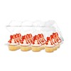 Plastic Cupcake Containers Boxes | 12 Compartment – 8 Pack