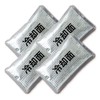 AITOZ AZ865933 101 Silver F Ice Packs, Set of 4,