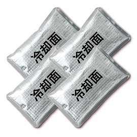 AITOZ AZ865933 101 Silver F Ice Packs, Set of 4, Made in Japan