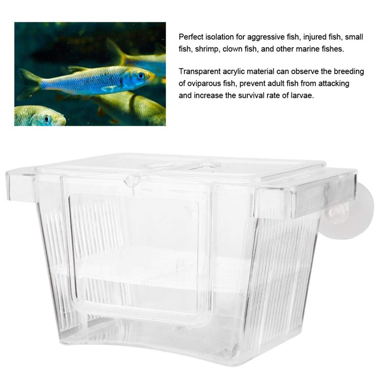 Zerodis Tanques de cría de Acuario de acrílico para incubadora