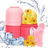 Ice Roller for Face,Gua Sha Facial Tool 2pcs Set,Updated Roller
