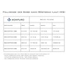 IMS Big Bang B62.52TFH21.5BB | B62.5 2T H21.5 BB |