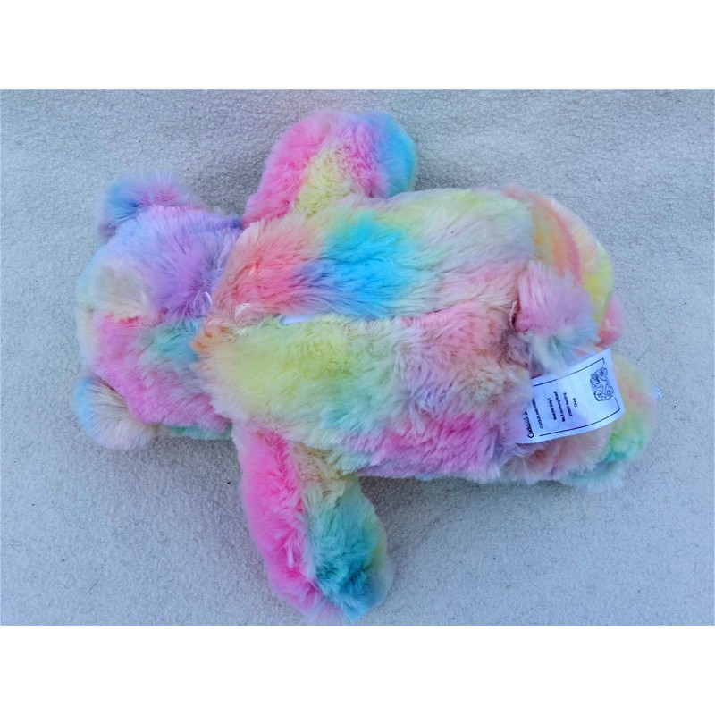 Magic Rainbow Teddy Bear - Soft Plush Toy - 25cm