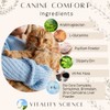 Vitality Science Canine Comfort Plus for Dogs | Advanced Digestive