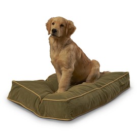 South Pine Porch Buddy Rectangle Pillow Style Dog Bed, Moss, Small (24" x 36")