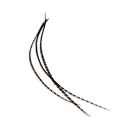 Real Feather Hair Extensions - Auburn Naturals (3 Feathers)