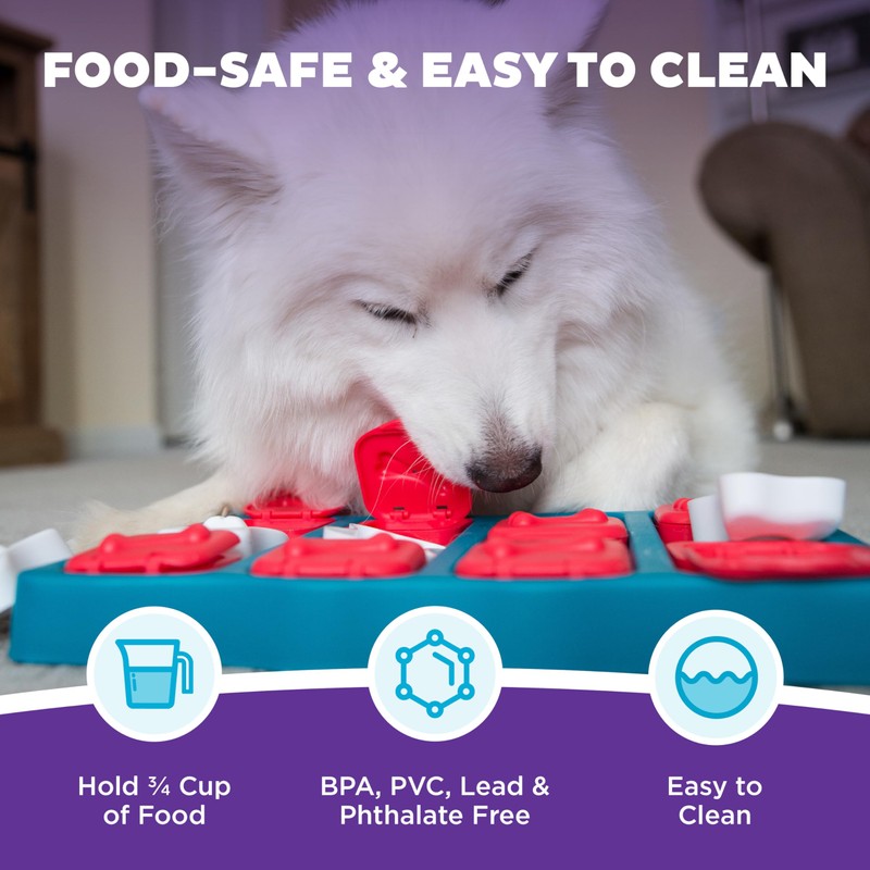 Outward Hound Outward Hound Nina Ottosson Dog Brick Dog Puzzle