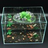 AQUA KT Turtle Floating Rock Tortoise Dock Basking Island Platform