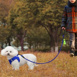 Joytale 6/5/4 FT Leashes for Small Medium Breed Dogs, Heavy Duty Nylon Braided Rope Dog Leash, Comfortable Padded Handle Strong Leashes with Poop Bags and Dispenser, Navyblue, 6'×3/8''