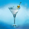 Waterstone Stainless steel Cocktail Picks, Professional 4" Fruit Stick Toothpicks(Set