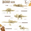 PowerTRC 5PCS 3D Printed Dinosaur Skeletons, T-Rex Triceratops Stegosaurus Velociraptor