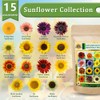 1000+ Sunflower Seeds for Planting Heirloom Non-GMO, Bulk Package of