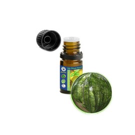 5ml (1/6oz) Black Birch (Sweet) Bark Essential Oil (Betula Lenta)