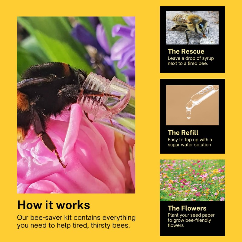 Revive a Bee Gold Bee Revival Kit A Keyring with