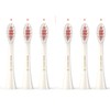 Replacement Toothbrush Brush Heads for Wagner & Stern and Wagner