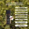pajoma Duftöl 10 ml, Latschenkiefer - Golden Line | 100%