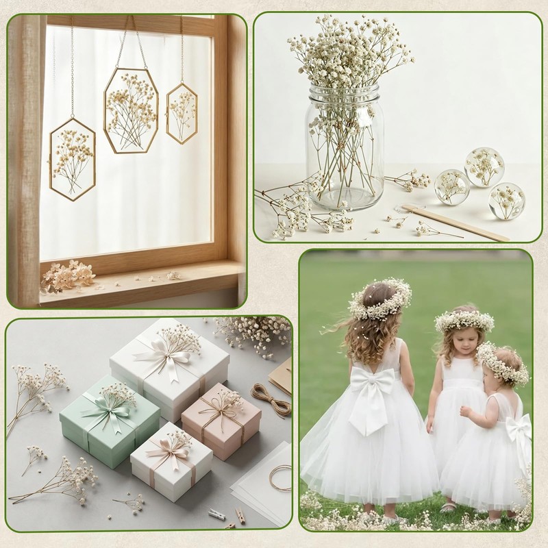 LAILAILE 100pcs Natural Dried Gypsophila Flowers– White Baby's Breath