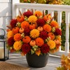 BobbleT 15 Pcs Fake Artificial Fall Mums with Pumpkin Picks,Faux