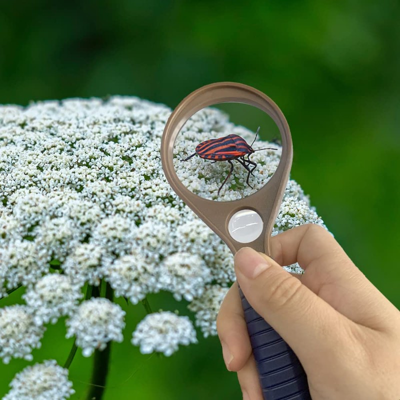 20 x & 10 x Handheld Magnifier Glass with Protective