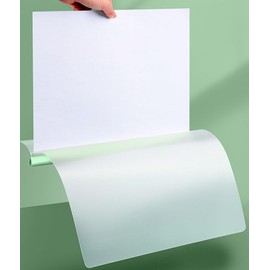 Slide File, Large Capacity, A4, Set of 10, Color Rail File, Thick Binding, 0.4 inch (10 mm) Wide, Clear File, Rail Clear Holder, Holds Approximately 90 Sheets of A4 Copy Paper, Document Storage