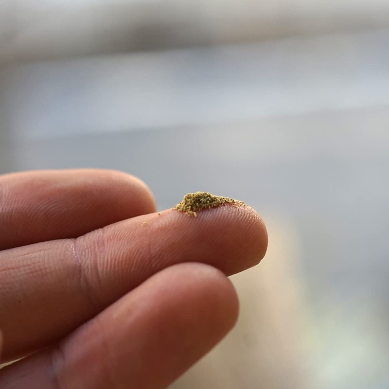 LUCAS White Sage Cleaning Powder Incense (White Sage [Powdered Incense])