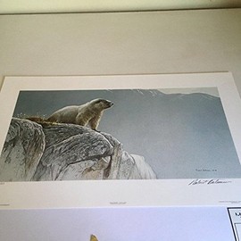 Limited Edition Print Hoary Marmot-ROBERT BATEMAN