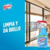 Windex Limpiador de Vidrios Atomizador 640 ml