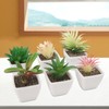 6PCS Potted Artificial Succulents Artificial Plants in Pots Plastic Fake