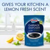 Glisten Garbage Disposer Foaming Cleaner, Lemon Scent, 4-Pack (16 Uses)