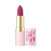 Eveline Cosmetics Moisturising Lipstick
