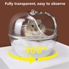 Hamster Sand Bathroom, Hamster Sandpit, Hamster Sand Bath, Hamster Sand