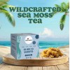 Organic Sea Moss Tea Bags 🌿 Pure Ocean Harvested |