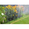 Gardena 995 25 ft. (7.5m) Sprinkler Hose, Orange, for Watering