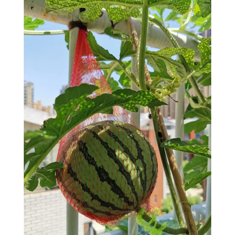 80 Pack Watermelon Nets, 20 Inches Reusable Cantaloupes Mesh Net