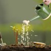 Plastic Flower Plant Bonsai Watering Can Watering Pot Garden Supplies
