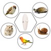 LHOEST 10 PCS Cuttlefish Shells for Turtles, Budgies, Birds, Snails,