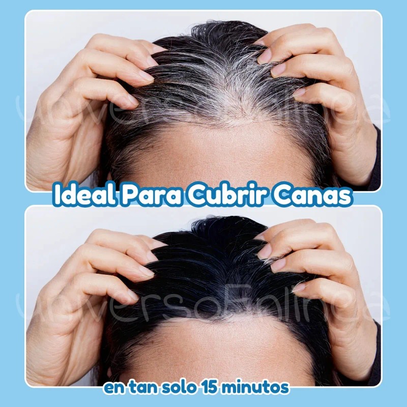 Shampoo Tinte Instantáneo Cubre Canas Natural Jengibre 10p F