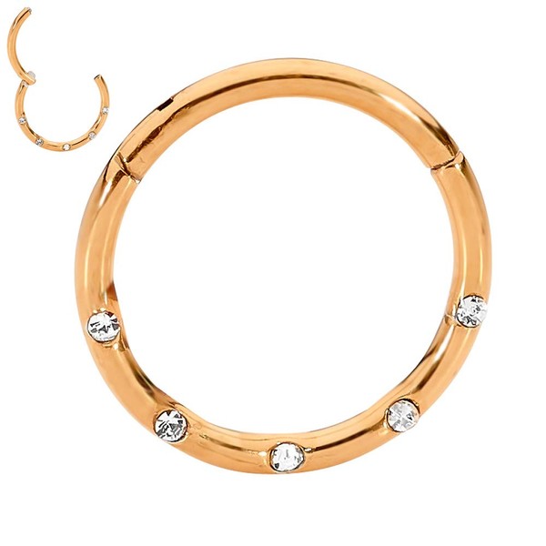 365 Sleepers Titanium 1.2 mm Segment Nose Ring Crystal Hoop