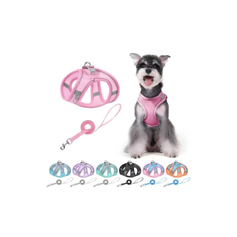 Pechera Arnés Transpirable Cómodo con Correa para Perro Gato,con Tira