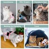 Reusable Cat Diapers 3 Pack with Good Absorbency Cat Diapers